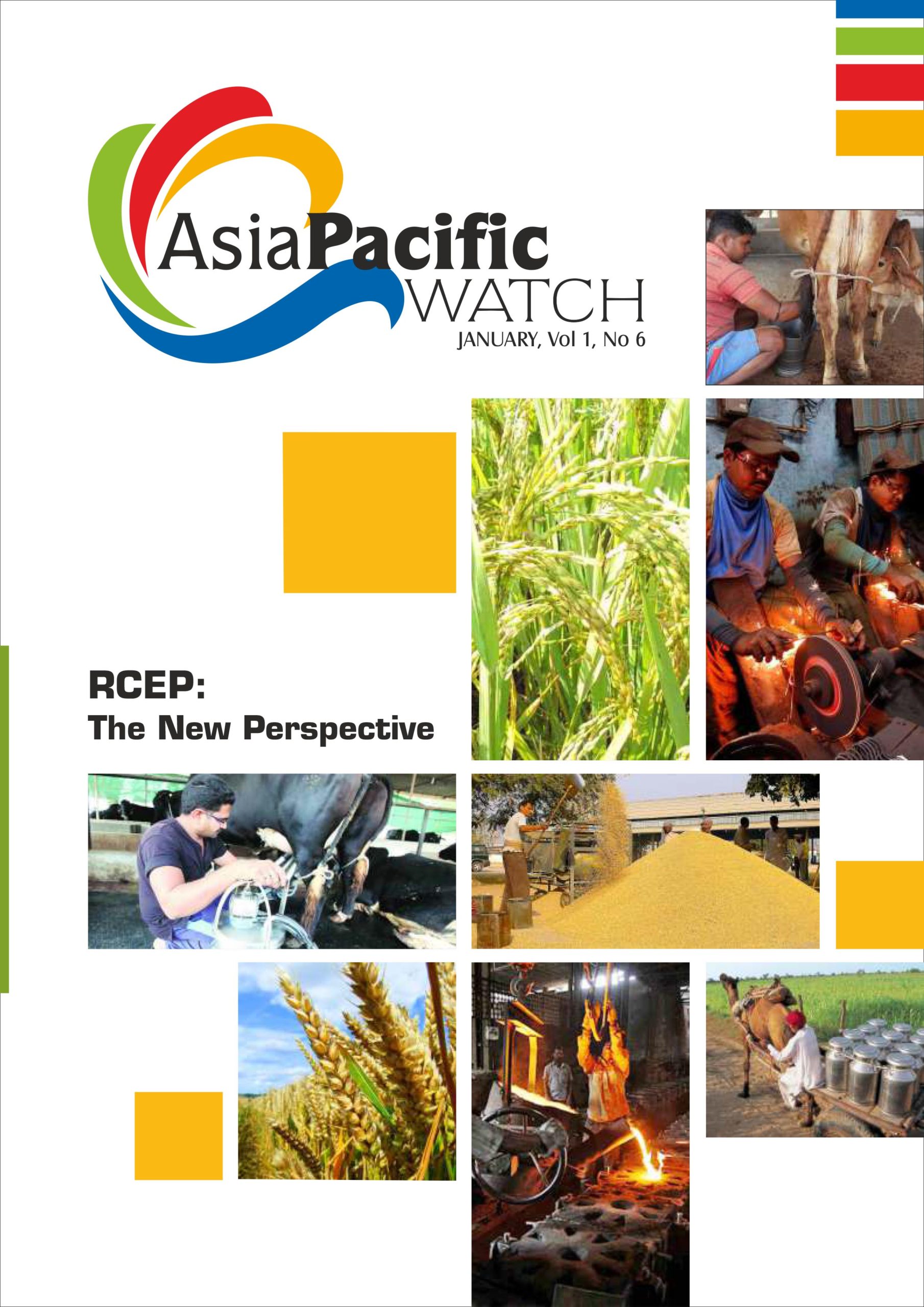 Asia Pacific Watch | January 2021 | Vol 1 | No 6